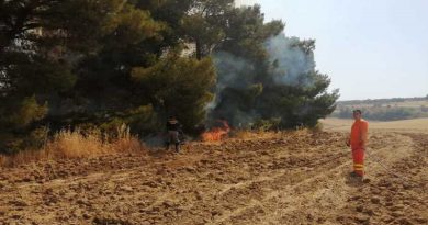 Incendi : brucia ancora la Murgia verso Gravina e a Castellaneta