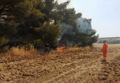 Incendi : brucia ancora la Murgia verso Gravina e a Castellaneta